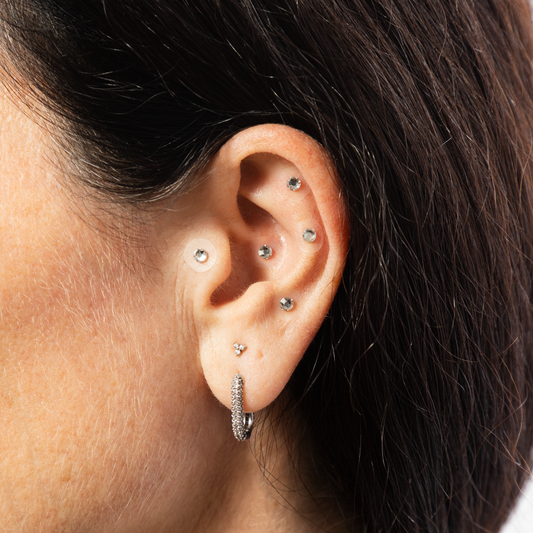 Swarovski Crystal Ear Seed Acupressure Kit – 20 Ear Seeds, 40+ Wellness Solutions, Adult & Kids Guides + Ear Maps + Video Tutorial
